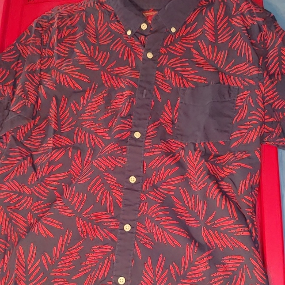 Arizona brand button up